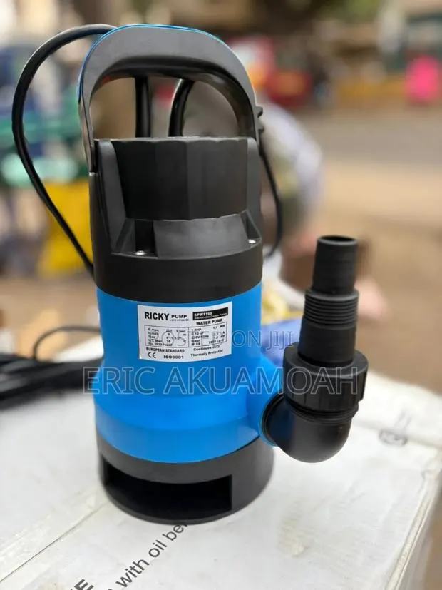 Ricky 1.5hp Sewage Pump · Photo 1