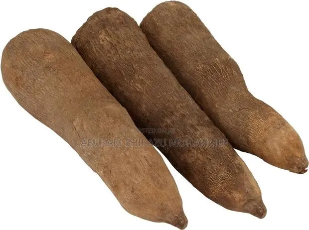 Fresh Yams · Photo 1