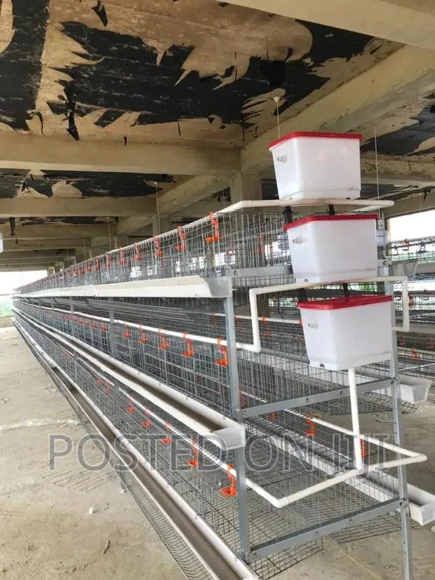 Chicken Cage · Photo 1