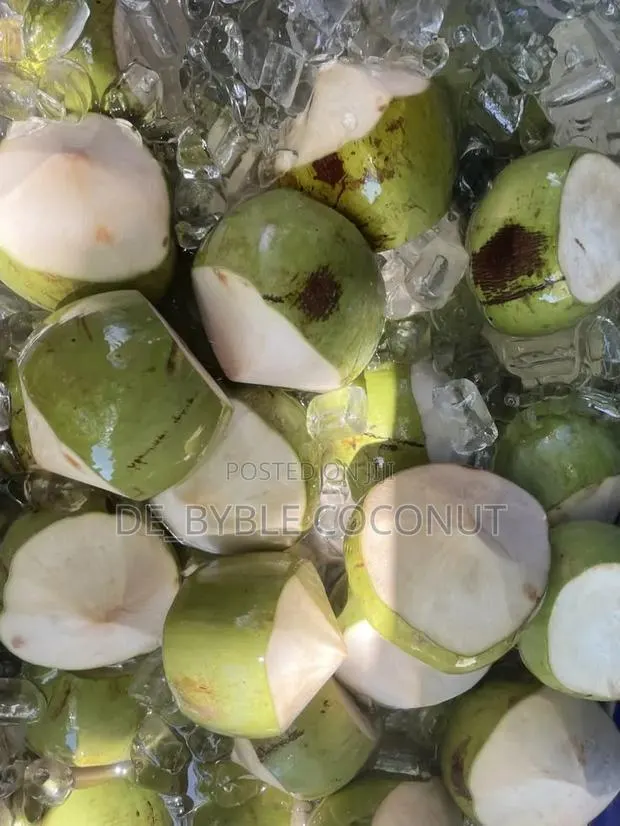 Fresh and Juicy Coconut · Photo 1
