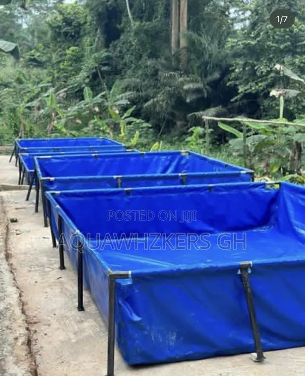 Start Your Fish Farm Journey (Big Package) · Photo 1