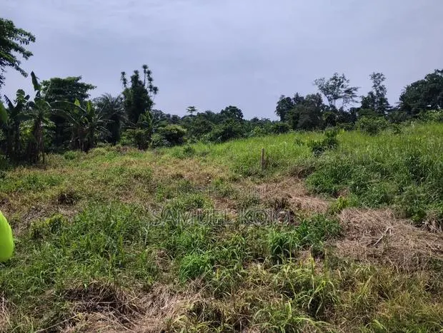Plots for Sale · Photo 1