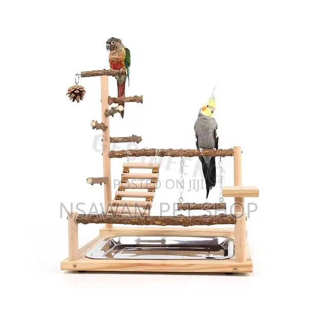 Parrot Play Toy · Photo 1