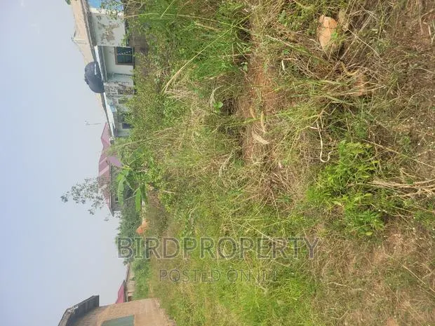 Half Plot of Land · Photo 1
