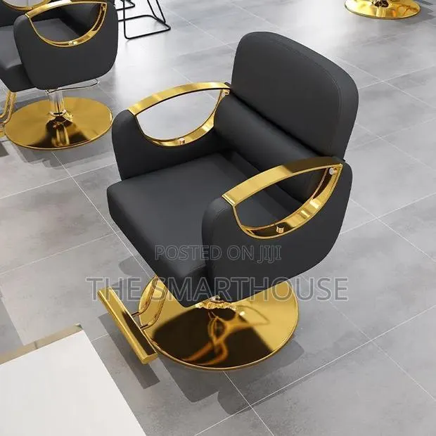 Luxury Professional Salon Chair · Photo 2