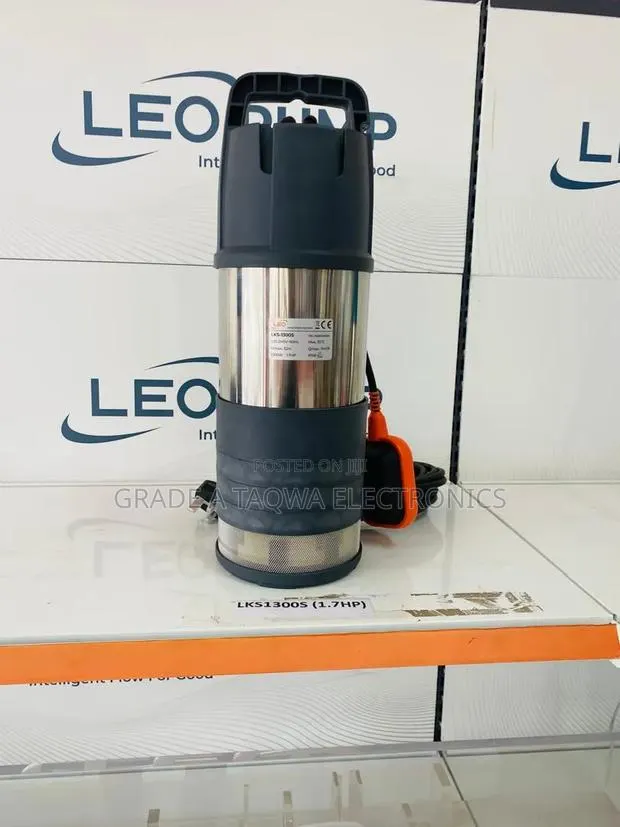 Holding High Leo 1.7 Hp Submersible Water Pumps · Photo 1
