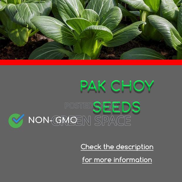 Pak Choy Seed · Photo 1