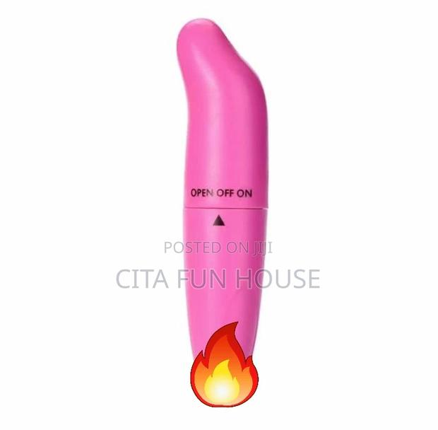 Bullet Vibrator Mini Dolphin · Photo 3