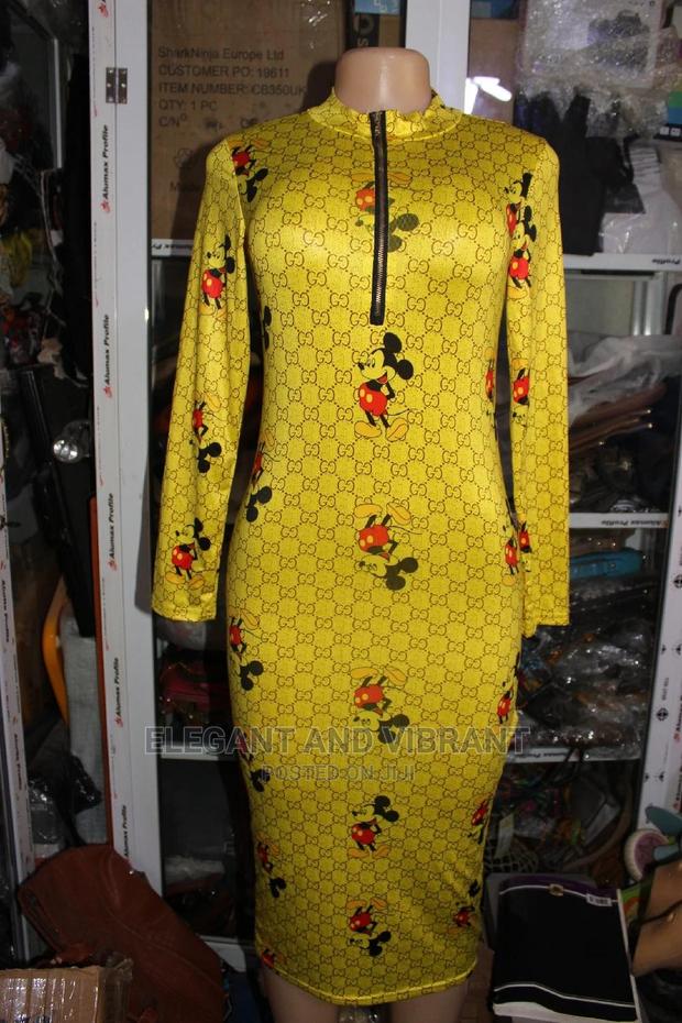 Beautiful Designer Ladies Bodycon Dress · Photo 2