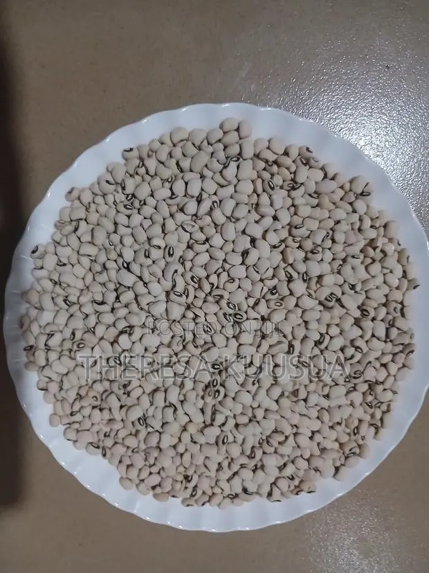 Quality Cowpea in Bowls · Photo 1