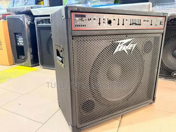 Peavey B-500usb Bass Combo Amplifier. · Photo 1