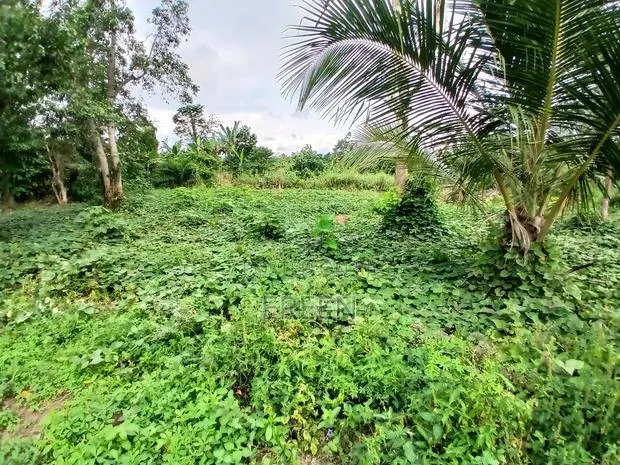 2 Plots of Land for Sale · Photo 3
