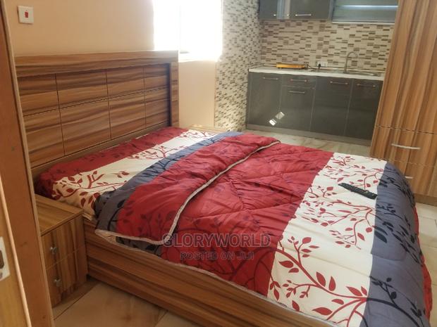 Newly Furnished Studio Apartment at Tseaddo · Photo 6