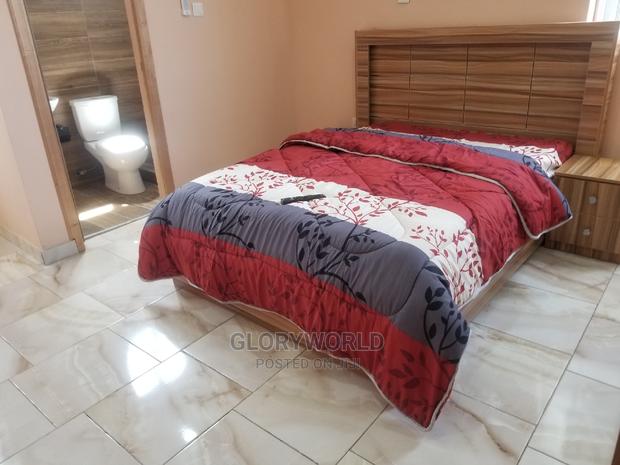 Newly Furnished Studio Apartment at Tseaddo · Photo 8