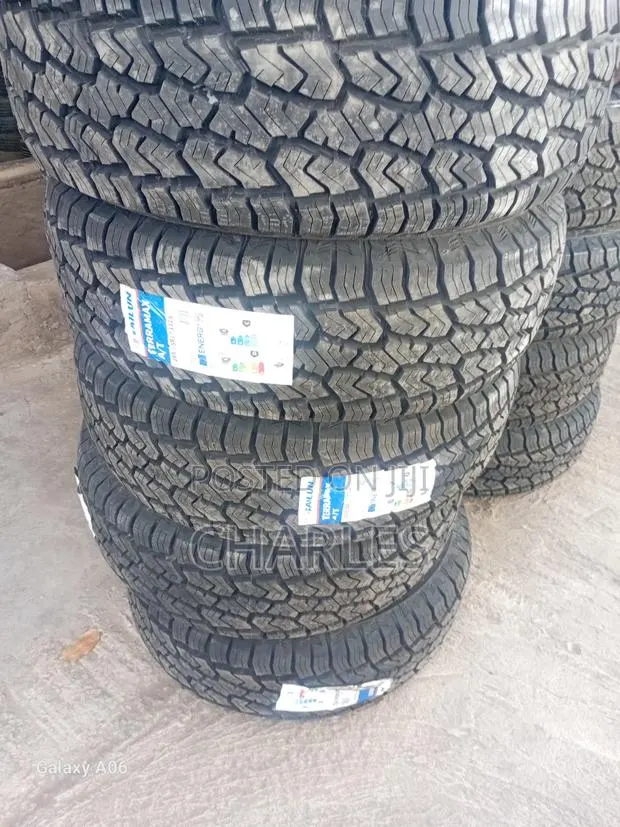 265/65r17 Sailun · Photo 1