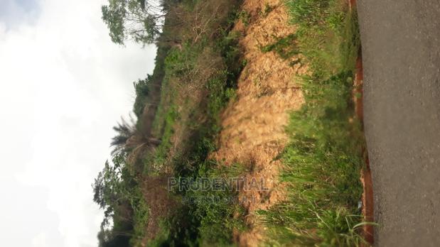 New Land for Sale at Adaeso · Photo 3
