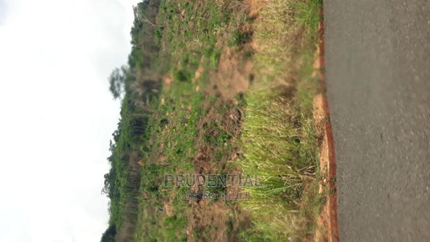 New Land for Sale at Adaeso · Photo 6