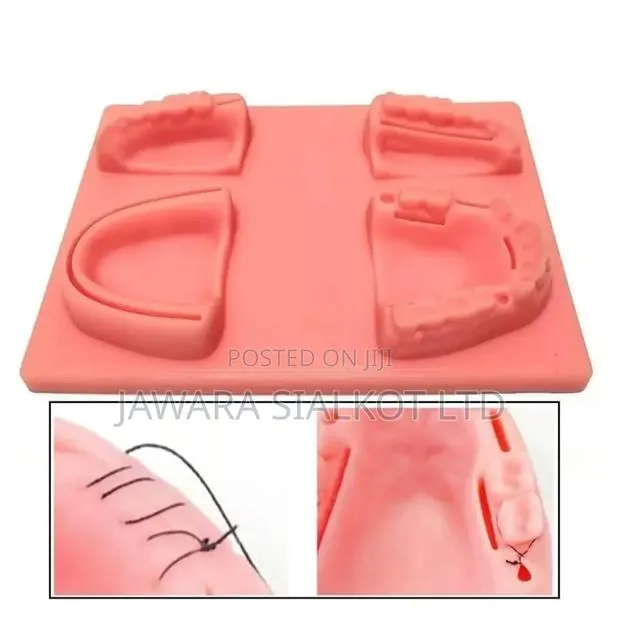 Dental Suture Practice Pad for Dentists and Surgeons · Photo 1