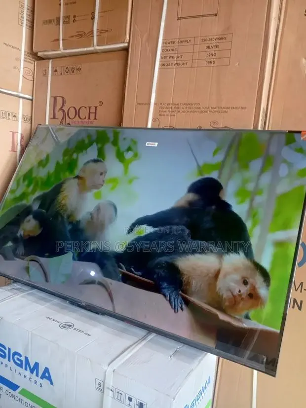 TCL Big Screen, Smart Choice – 55-Inch Smart TCL Tv · Photo 1