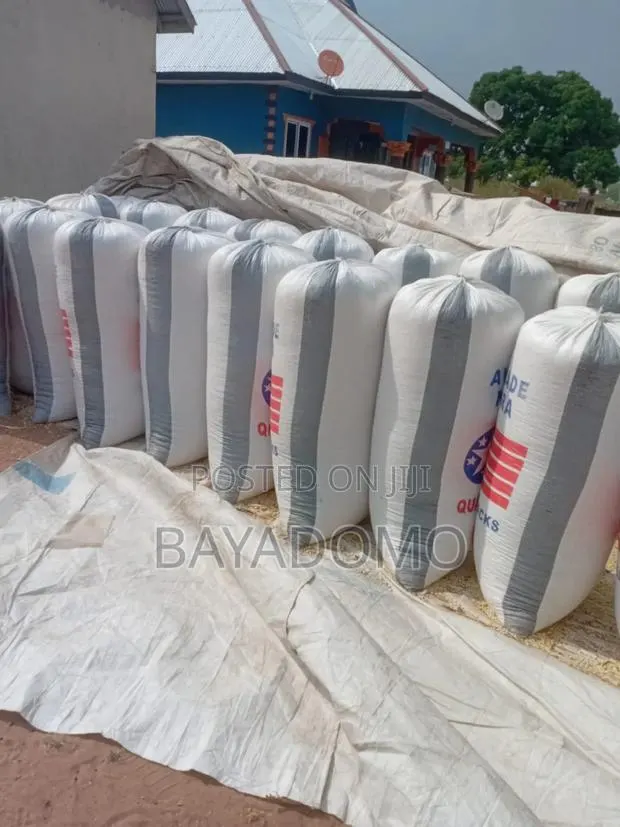 White Maize Bags · Photo 1