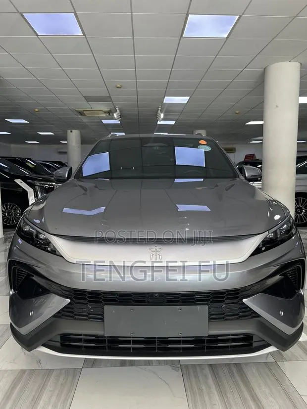 New BYD Song Pro DM-i 2025 Gray · Photo 1