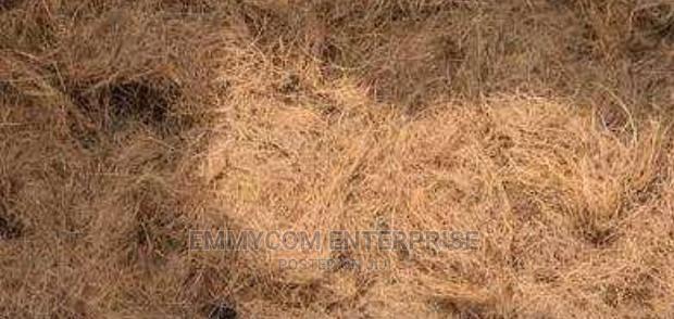 Treated Coconut Fiber · Photo 2