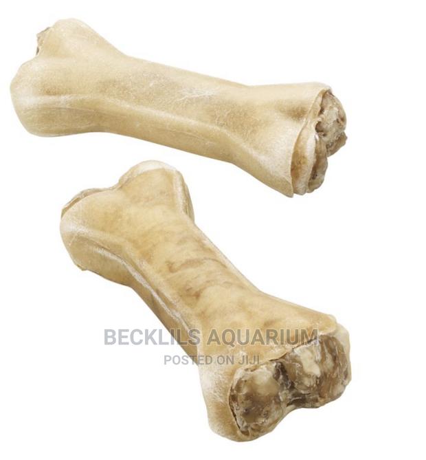 Dog Chewing Bone · Photo 1