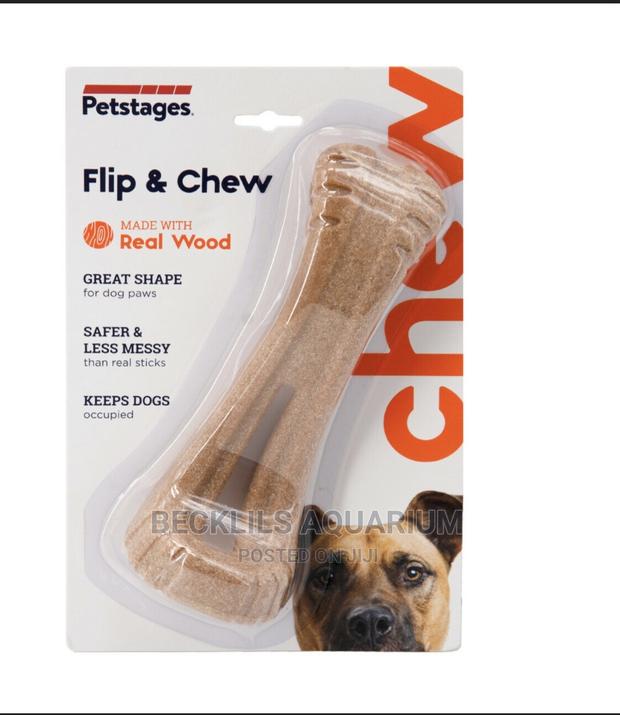Dog Chewing Bone · Photo 3
