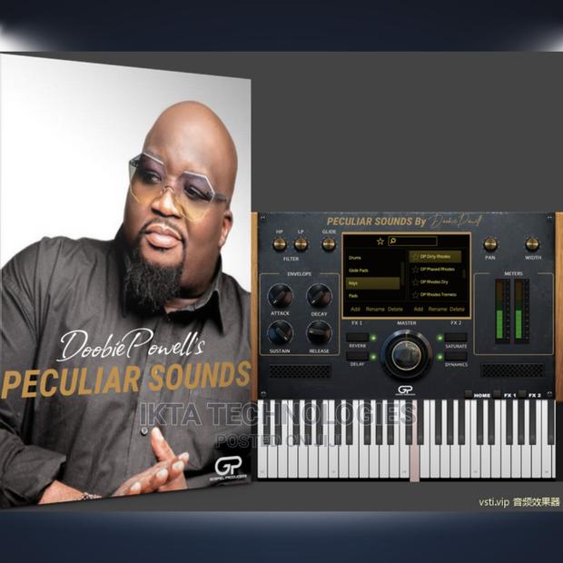 Doobie Powell's Peculiar Sounds | a VST Instrument Plugin · Photo 2