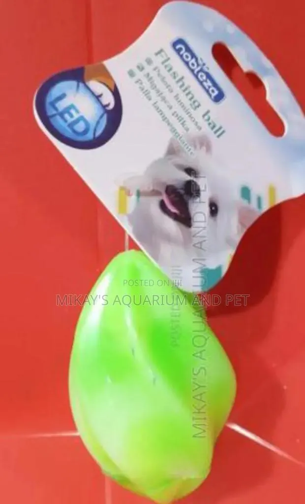 Dog Rubber Play Toy · Photo 1