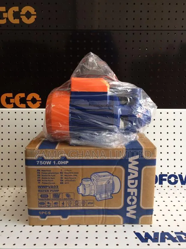 Water Pump 750w(1hp) - Wwpva03 · Photo 1