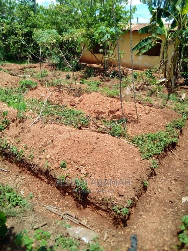 Two Plots of Lands at Santasi Darko · Photo 5