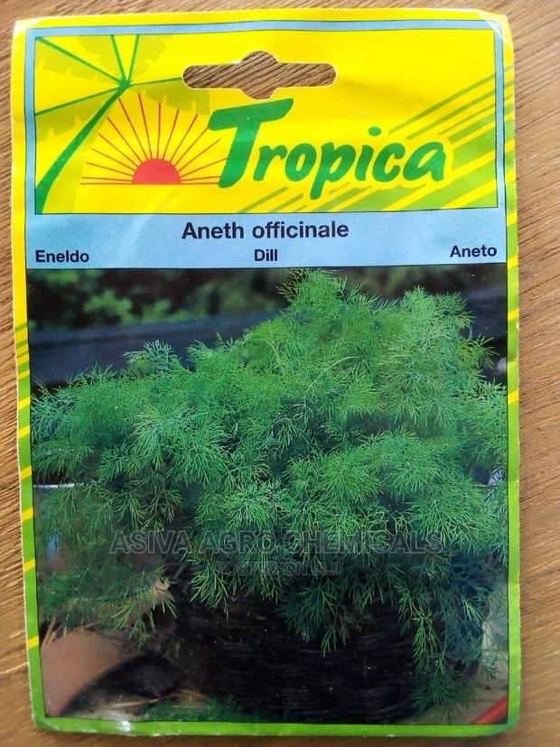 Dill Seeds · Photo 2