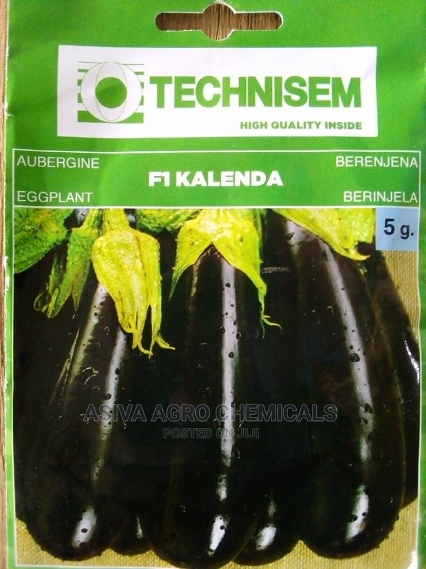 Aubergine Seeds · Photo 4