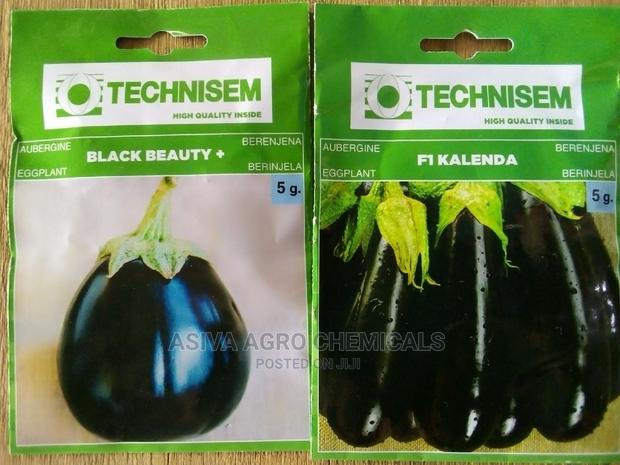 Aubergine Seeds · Photo 1