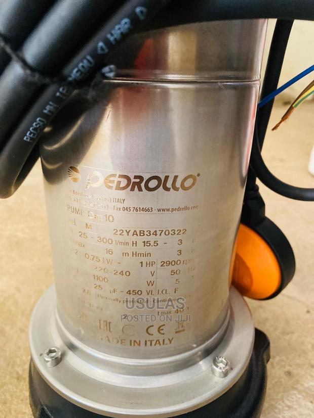 Pedrollo Sewage Pump · Photo 2