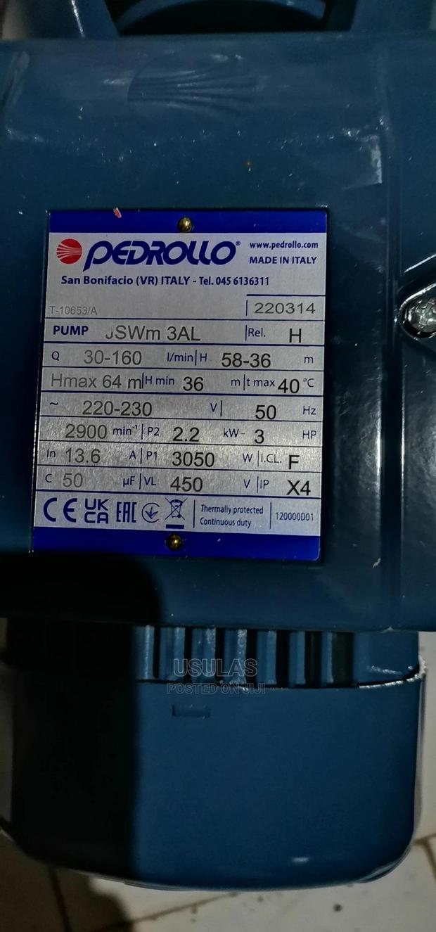 Pedrollo 3hp · Photo 2