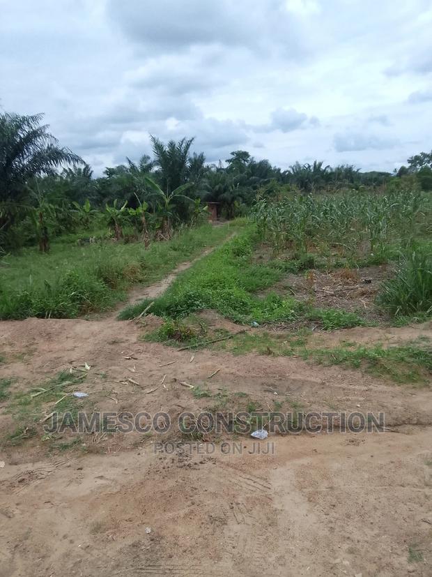 Farmland for Sale
