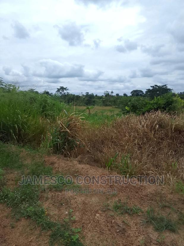 Farmland for Sale · Photo 3