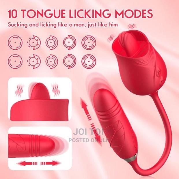 Rose Clit Licker / Thrusting Dildo · Photo 2