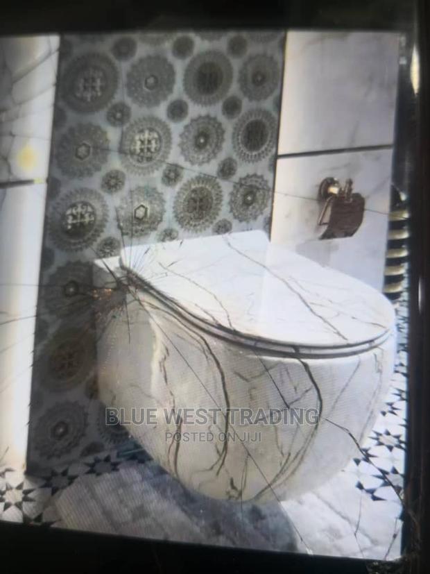 Wall Hung WC - Concealed Water Closet · Photo 3