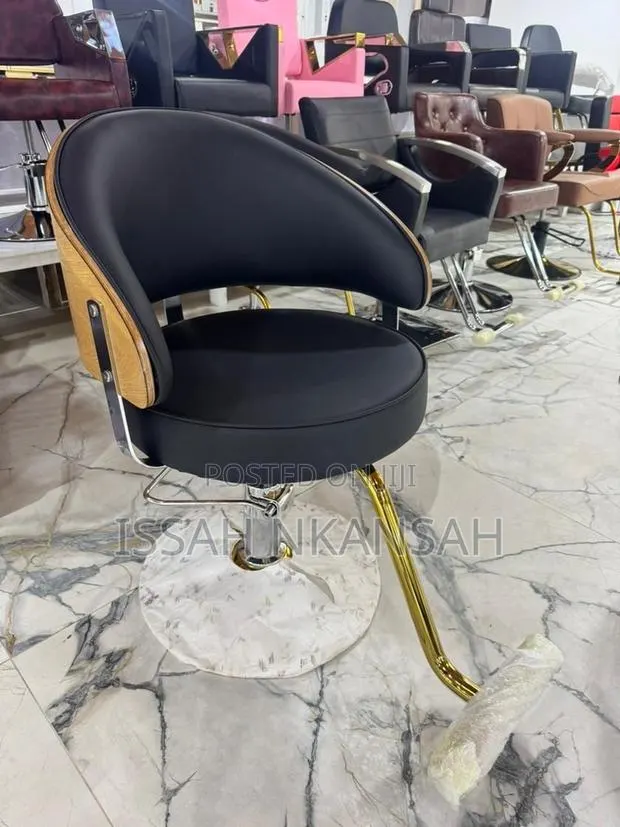 Salon Chair · Photo 2