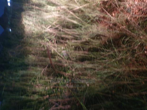 Four Plots for Sale at Santasi Brofuyendro Adumasa · Photo 6