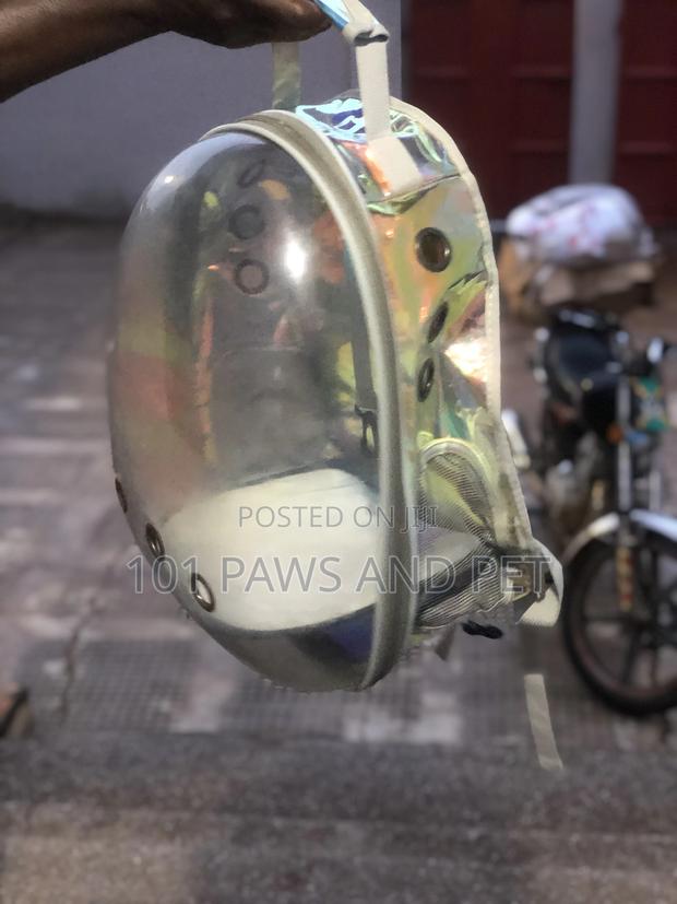 Pet Backpack Carriers Available · Photo 2