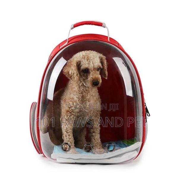 Pet Backpack Carriers Available · Photo 1