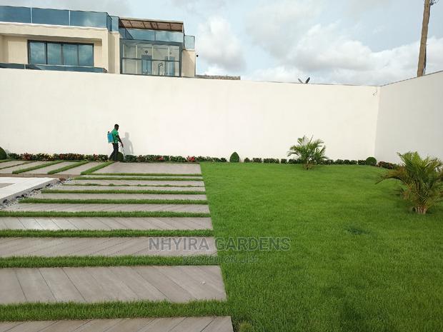 LAWN DESIGN ( Natural Grasses ) · Photo 2