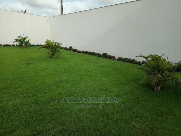 LAWN DESIGN ( Natural Grasses ) · Photo 3