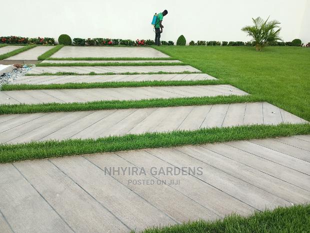 LAWN DESIGN ( Natural Grasses ) · Photo 4