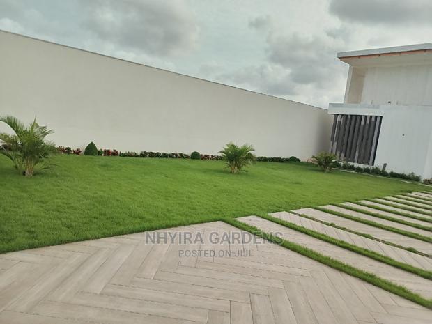 LAWN DESIGN ( Natural Grasses ) · Photo 5