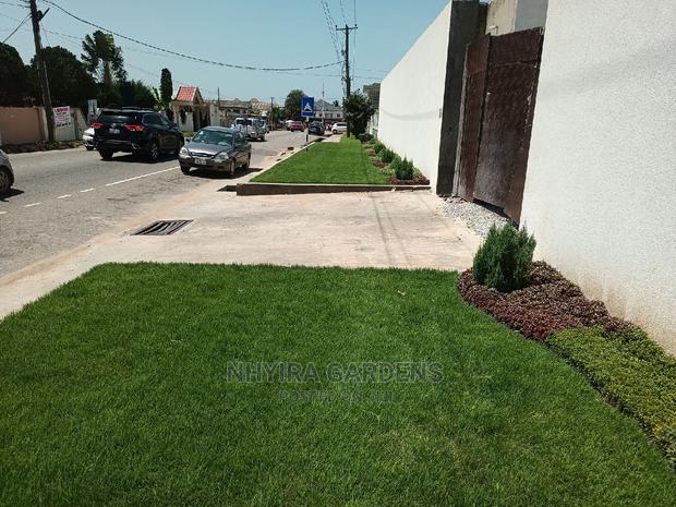 LAWN DESIGN ( Natural Grasses ) · Photo 7